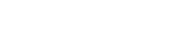 Liga Sur Hockey Patín